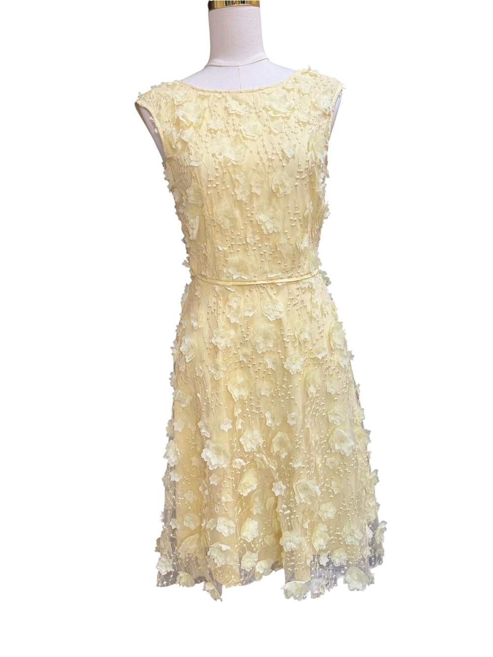 Alex Marie Caroline Yellow 3D Floral Embroidered Dress Size 4 High Low Midi
